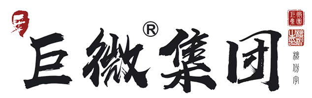 巨微集团